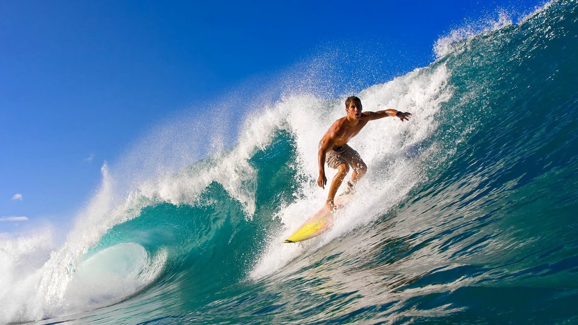 中国足球球员场上视野覆盖模型建立，足球运动员在一瞬间把握球场上对方球员的布局漏洞